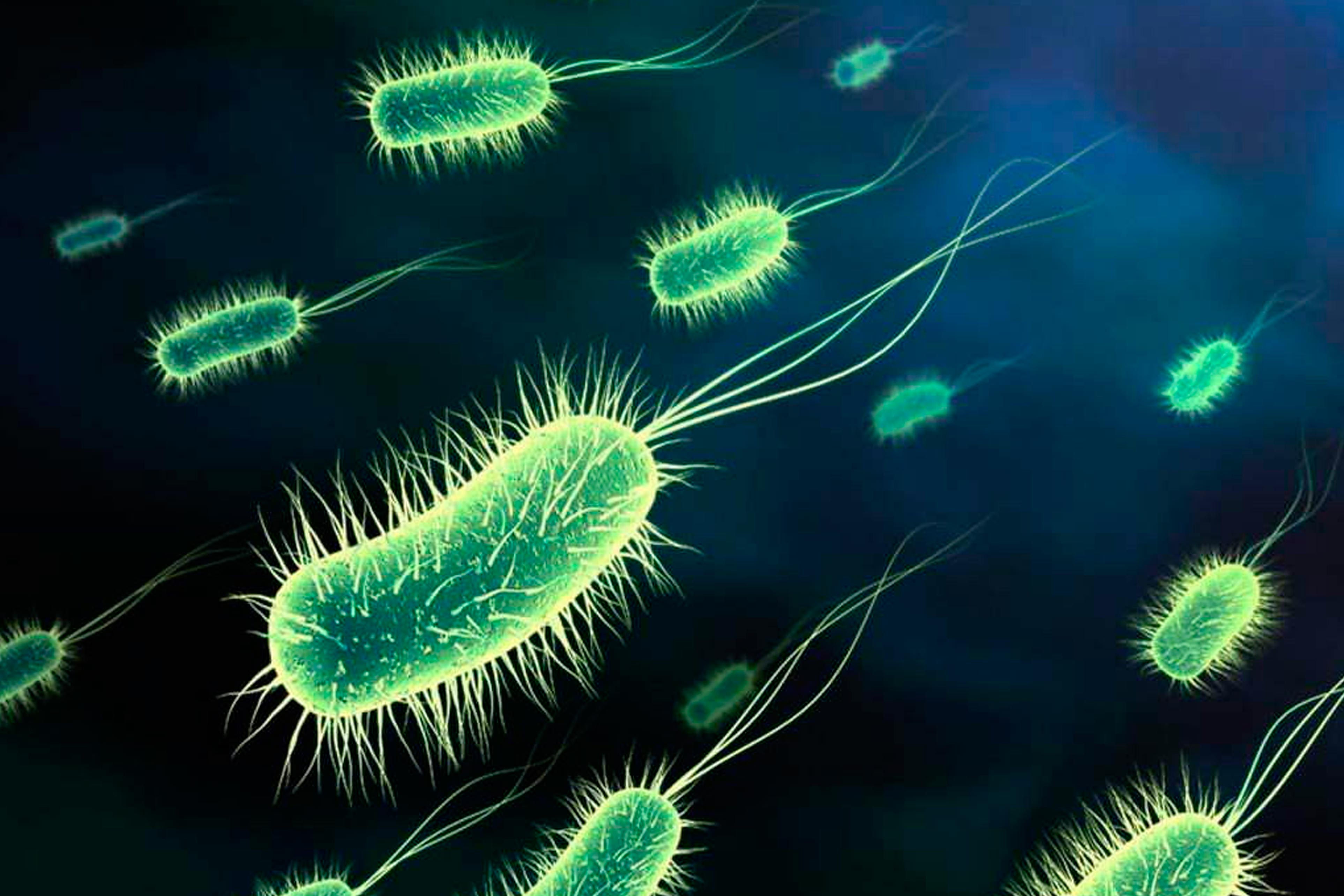Бактерии прокариоты 5 класс. Реснитчатые бактерии. Бактерии прокариоты. Эукариотические одноклеточные микроорганизмы. Интересные микроорганизмы.