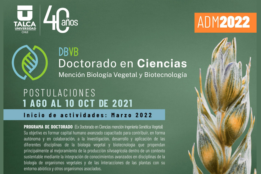 Postulaciones Doctorado En Ciencias Mención Biología Vegetal Y ...