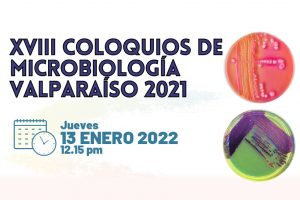 <strong><span style="color: #ff6600;" class="title-evn">COLOQUIO VALPARAÍSO:</span></strong> <span>"Treating human diseases without drugs: intestinal microbiota trasplantation technologies"</span>